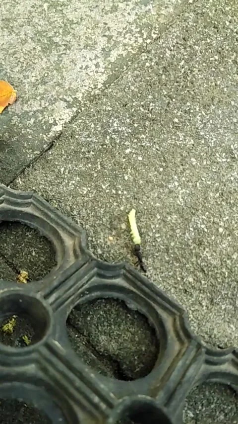 Circle hole Stock Footage 137293322