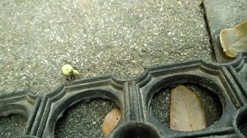 Circle hole Stock Footage 137293333