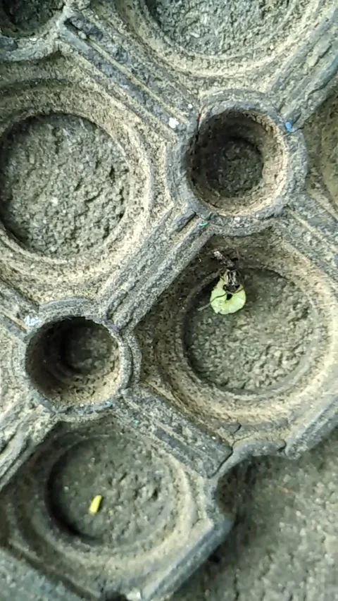 Circle hole Stock Footage 137515984