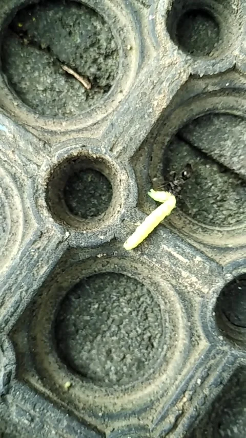 Circle hole Stock Footage 137516065