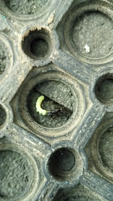 Circle hole Stock Footage 137516209