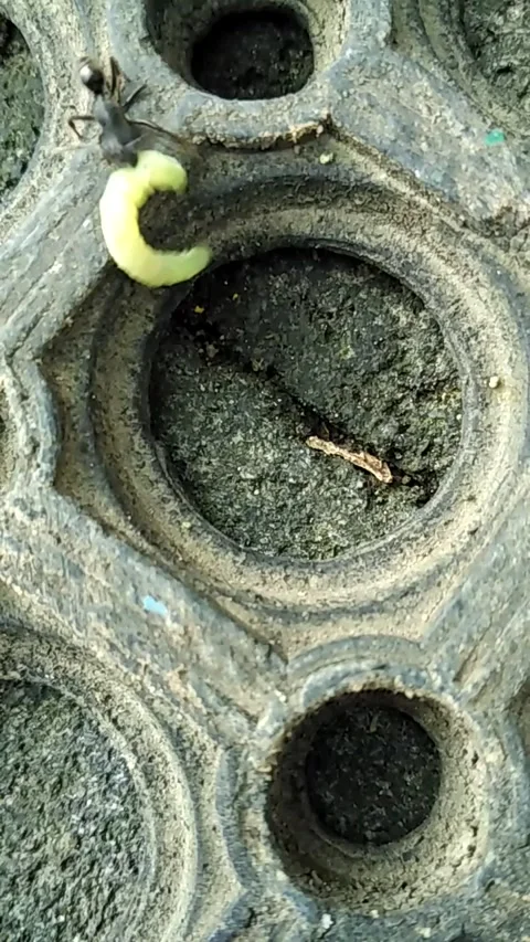 Circle hole Stock Footage 137516299