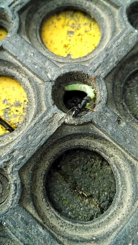 Circle hole Stock Footage 137516371