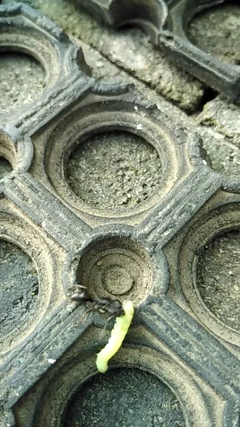 Circle hole Stock Footage 137516594