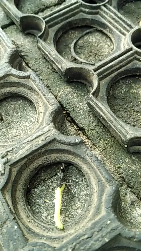 Circle hole Stock Footage 137516848