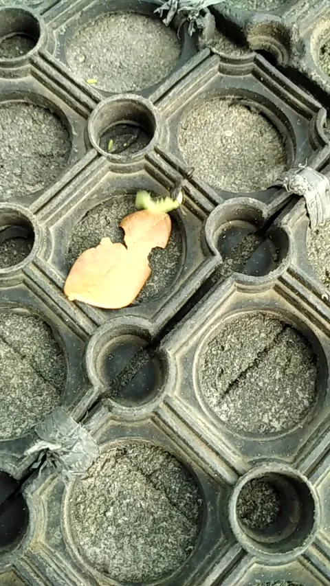 Circle hole Stock Footage 137516998