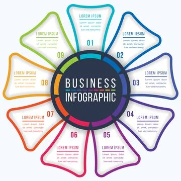 Circle Infographic design 9 Steps, objects, elements or options business info Stockillustratie