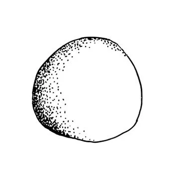 Circle ink drawn with dots texture. Illustrazione stock