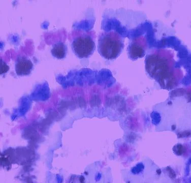 Circle Ink Roll. Batik Light Backdrop. Artistic Stock Illustration