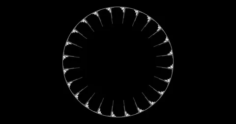 Circle Interface HUD Digital Elements 库存影片 342100080