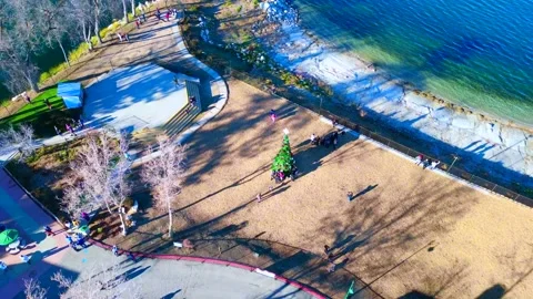 Circle of Joy: Christmas Tree by the Lake Stock Footage 230573689