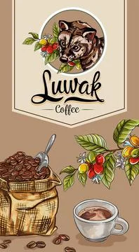 Circle label with civet cat vector inside, best for premium coffee bar or sho Stock Illustration