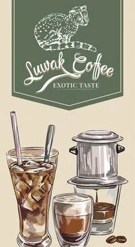 Circle label with civet cat vector inside, best for premium coffee bar or sho Stock Illustration