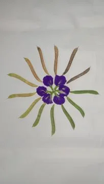 The circle of life Stock Photos