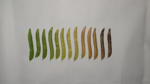 The circle of life Stock Photos