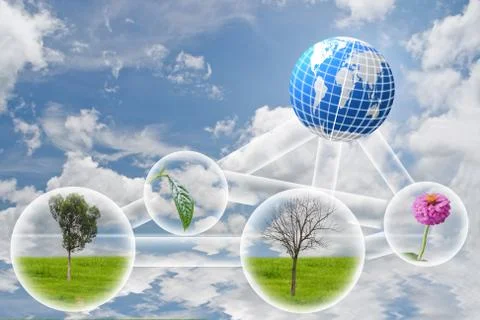 Circle  life on sky background. Stock Photos