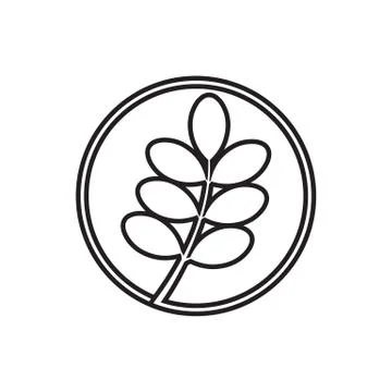 Circle lines icon moringa leaf vector Stock Illustration