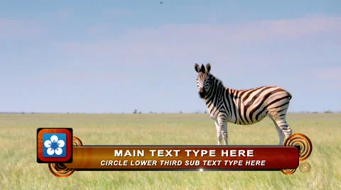 Circle Lower Third After Effects stock