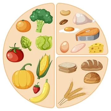 Circle of Macronutrients: Carbs, Proteins, and Fiber Stock Illustration