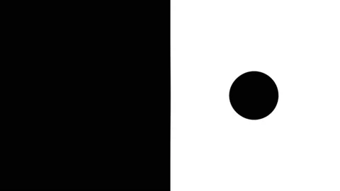 Circle Moving Between Two Contrasting Halves Opposite Sides Stock Footage 143907205