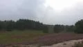 Circle pan in the bloomy Lunenburg Heathland HD Footage