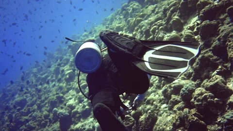 Circle panoramic view of diver who surfacing. Maldives 스톡 동영상 171669767