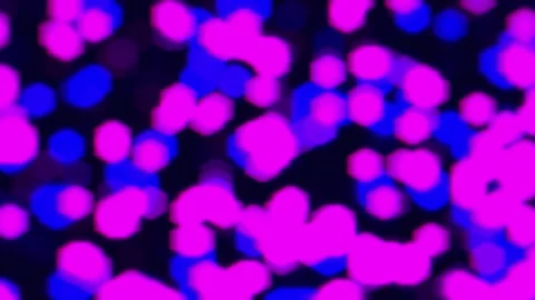 Circle Particles Background for presentation with space for text. art bokeh.. Stock Footage 255487958