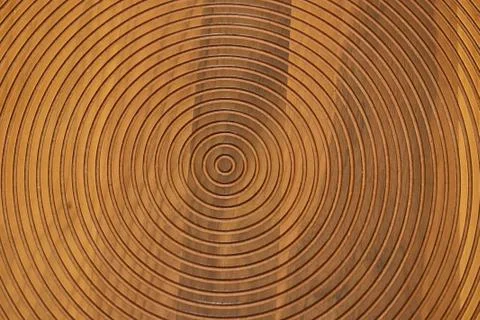 Circle pattern  on light wooden background texture Stock Photos