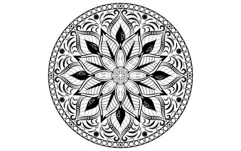 Circle pattern petal flower of mandala with black and white,Vector floral man Stock Illustration
