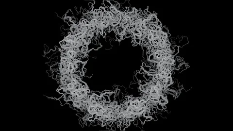 Circle Perlin Noise Flow Field Generative Monochrome Black Background 4K Stock Footage 340386720