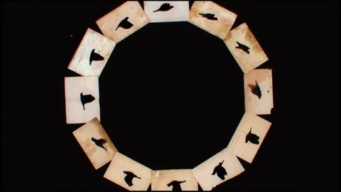 Circle of postcards with flying bird silhouettes, ink loop Stock Footage 346768894