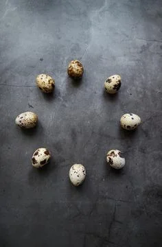 Circle of Quail eggs. Gray. The view from the top. Free space. Stock Photos