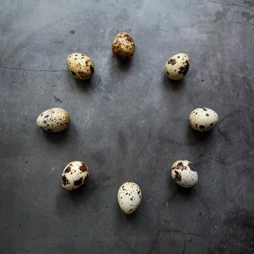 Circle of Quail eggs. Gray. The view from the top. Free space. Stock Photos