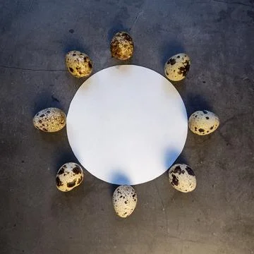 Circle of Quail eggs. Gray. The view from the top. Free space. Stock Photos