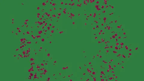 Circle of red flowers made small hearts on up out lot it 스톡 동영상 336968966