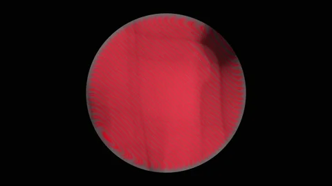 Circle Red Gradient With Noise Lines Waves Rotation Motion Loop Background Stock Footage 131310007