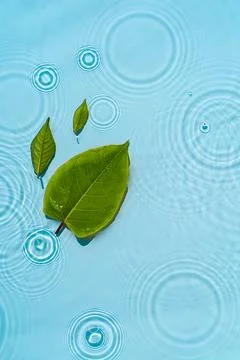 Circle ripples, waves on a transparent, clean background of water with gree.. Stock Photos