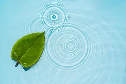 Circle ripples, waves on a transparent, clean background of water with gree.. Stock Photos