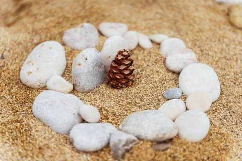 A circle of rocks with a pine cone resting in the sand Stock Photos