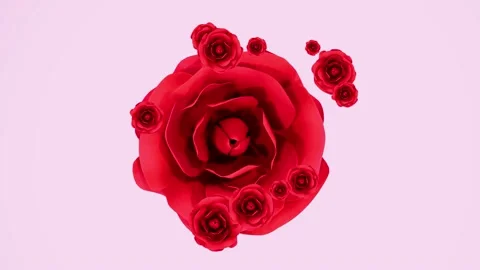 Circle roses rotation big small background pink romantic valentines day holi Stock Footage 231915325