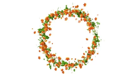 Circle Round Frame Animation with Ice Crystals. 스톡 동영상 336036395