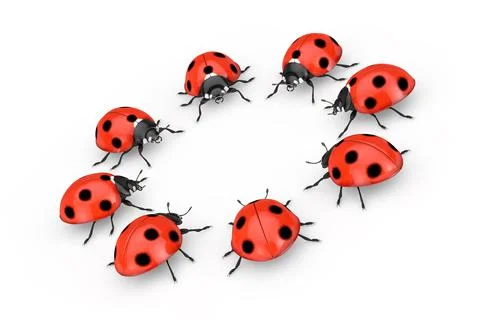 Circle Row of Red Realistic Beautiful Ladybirds. 3d Rendering Stock Illustration