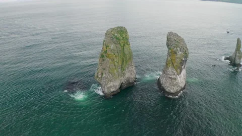 Circle sea panorama. Huge cliffs towering in teal water, seagulls flying around Stock Footage 169217586