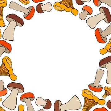 Circle Shape Chanterelle, Boletus or Porcini, Aspen Mushroom Background. Autu Stock Illustration