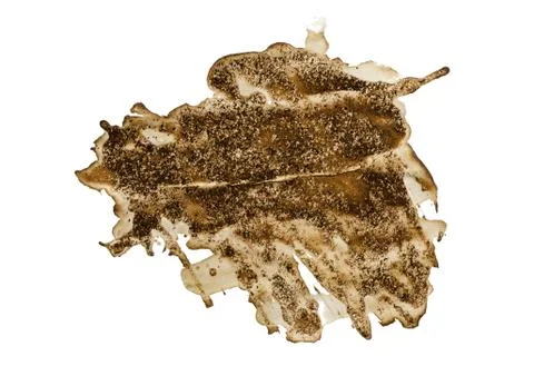 Circle shape coffee stains on white background. Foto stock