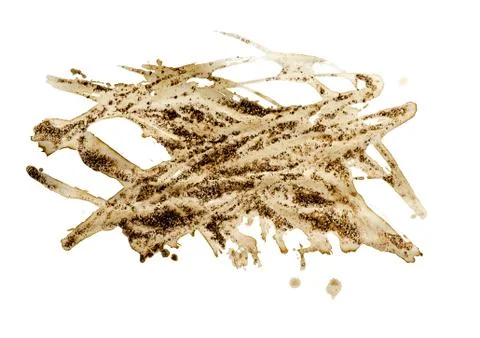 Circle shape coffee stains on white background. Stock Photos