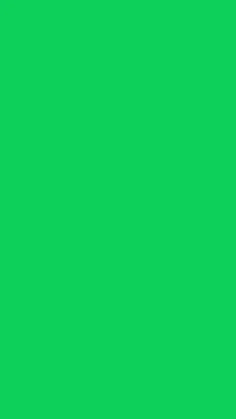 Circle Shape Elements motion graphic with green screen Stock Footage 301778099