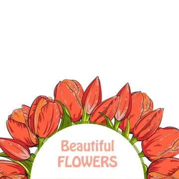 Circle shape of red tulips flowers on white background, template for your design Stock Illustration