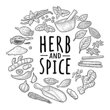 Circle shape set with HERB and SPICE. Set vector black engraving Stock Illustration