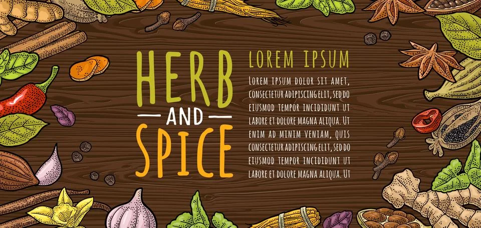 Circle shape set with HERB and SPICE. Set vector color engraving Illustration